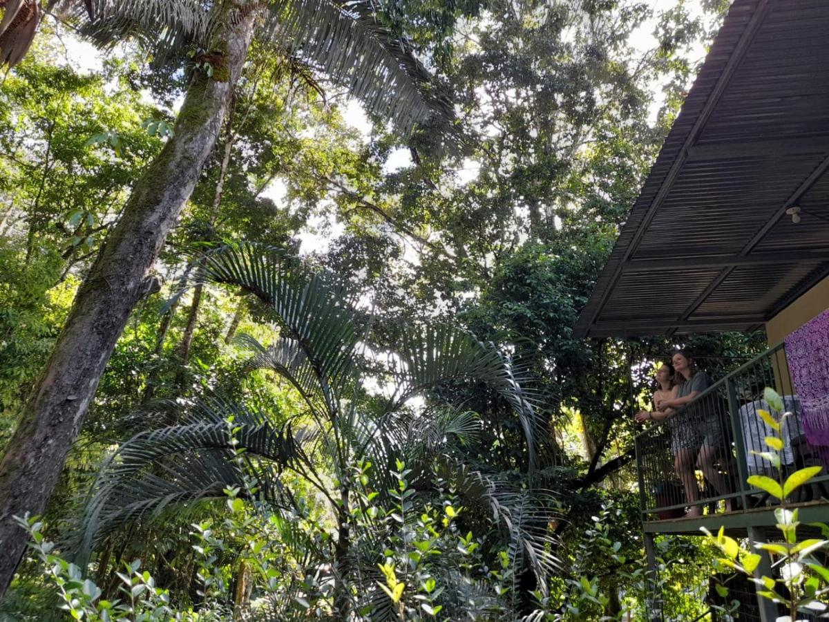 Casa Escondida Apartments Manuel Antonio Exteriör bild